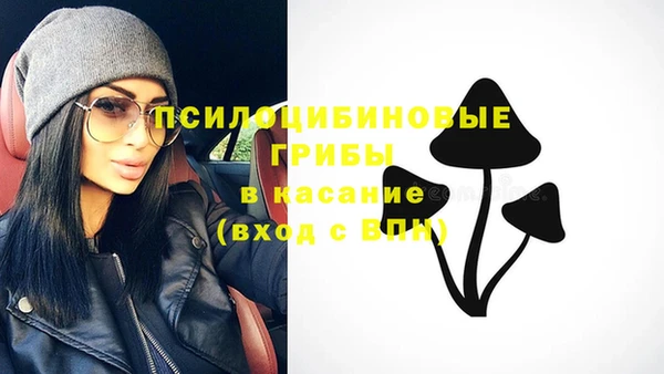 эйфоретик Новодвинск
