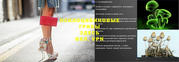эйфоретик Новодвинск