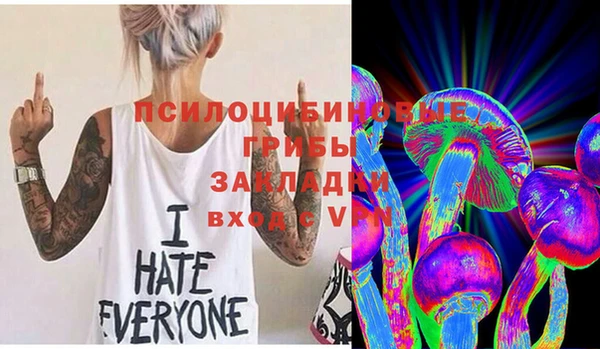 молекула духа Абинск