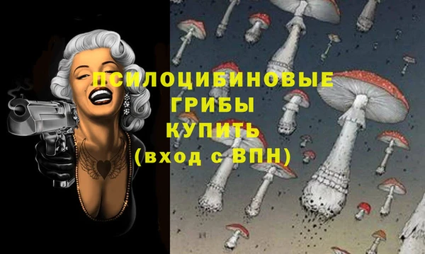 стафф Новокубанск