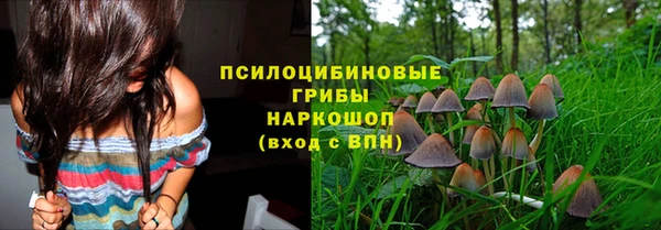 молекула духа Абинск