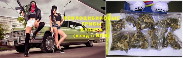 стафф Новокубанск