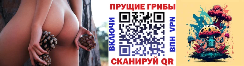 наркошоп  площадка Telegram  Галлюциногенные грибы мицелий  Власиха 